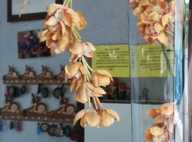 La Lepre 2* Κιότζα